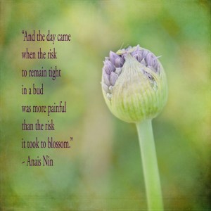 anais-nins-quotes-4