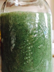 green monster, chlorella, fulvic acid, living silica, banana, smoothie, snogging, swamp thing, antioxidant, joints, connective tissue, 