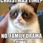 holiday, survival, honest, brutal, hedonism, family, eating, christmas