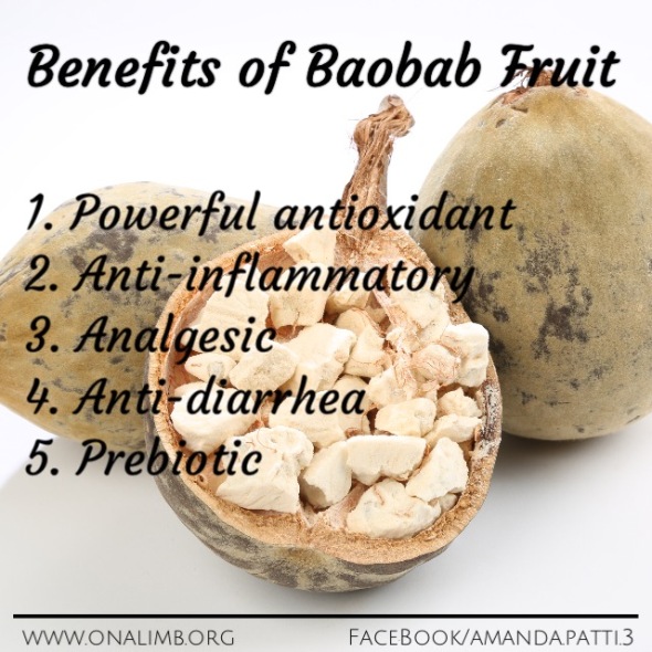 baobab, mighty, mighty baobab, super food, super fruit, benefits, baobab benefits, baobab medicine, baobab uses, raw, raw food